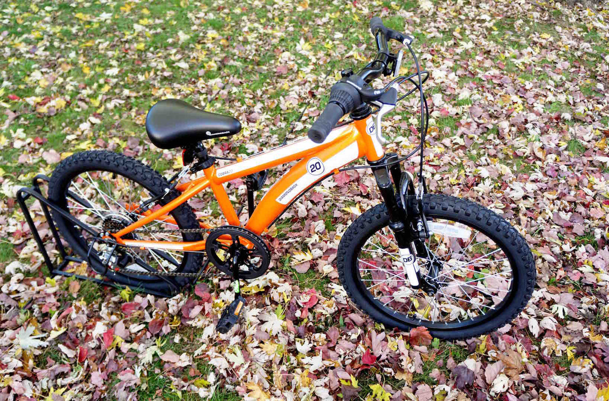 Diamondback cobra kids bike top 2017